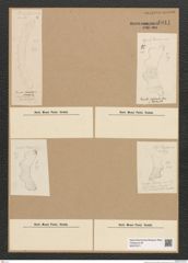 Diatomeae indet. Zeichnungen Sammlung Grunow Nr. 6611 (NHMW-BOT-W0375371)